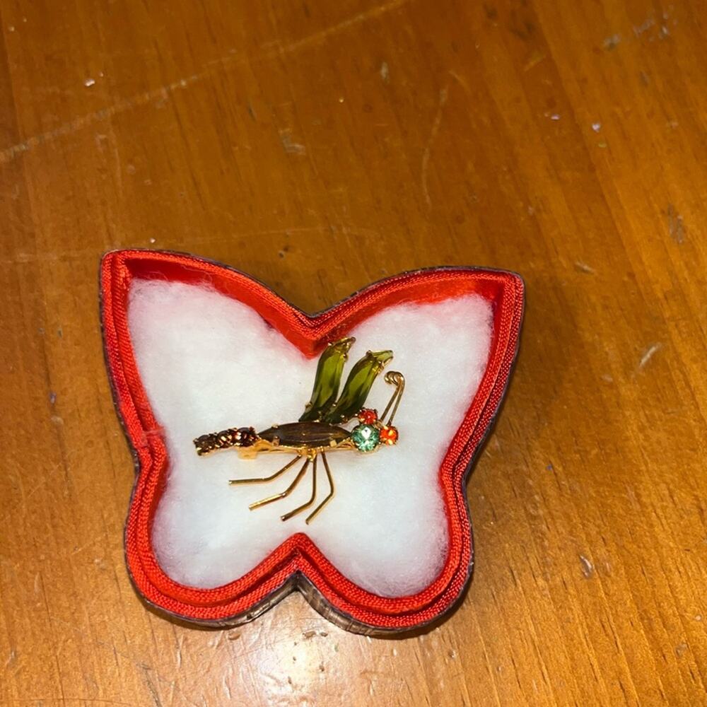Vintage Made in Austria Bug Brooch With Butterfly Box